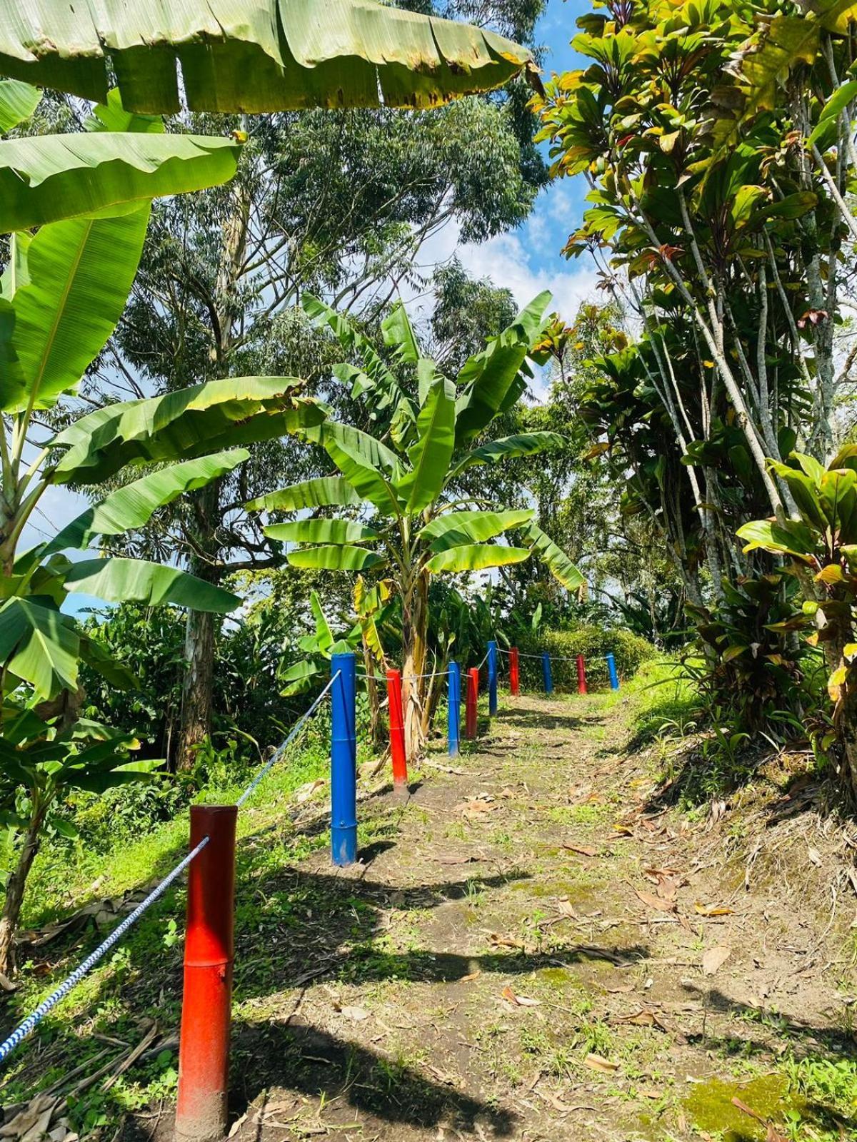 Finca Hotel El Eden Del Quindio Calarcá エクステリア 写真