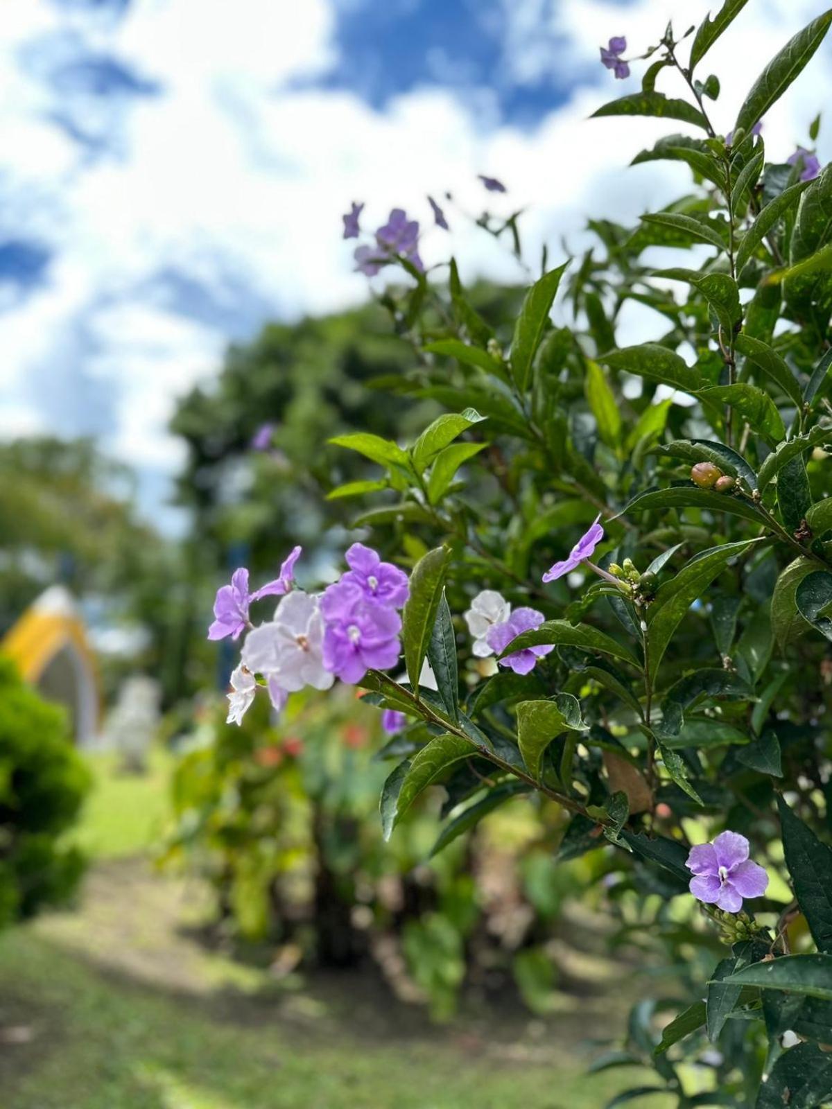 Finca Hotel El Eden Del Quindio Calarcá エクステリア 写真