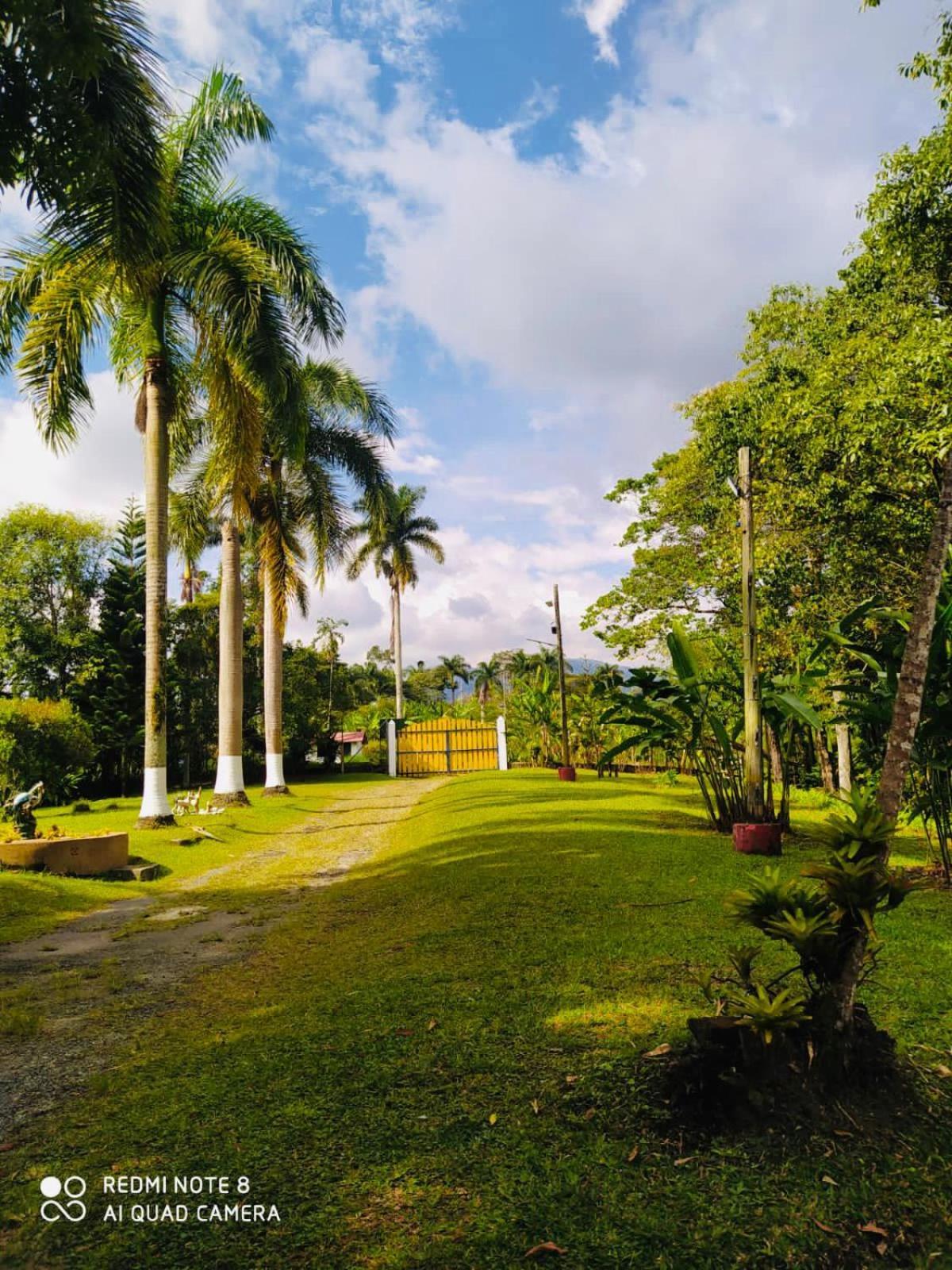 Finca Hotel El Eden Del Quindio Calarcá エクステリア 写真